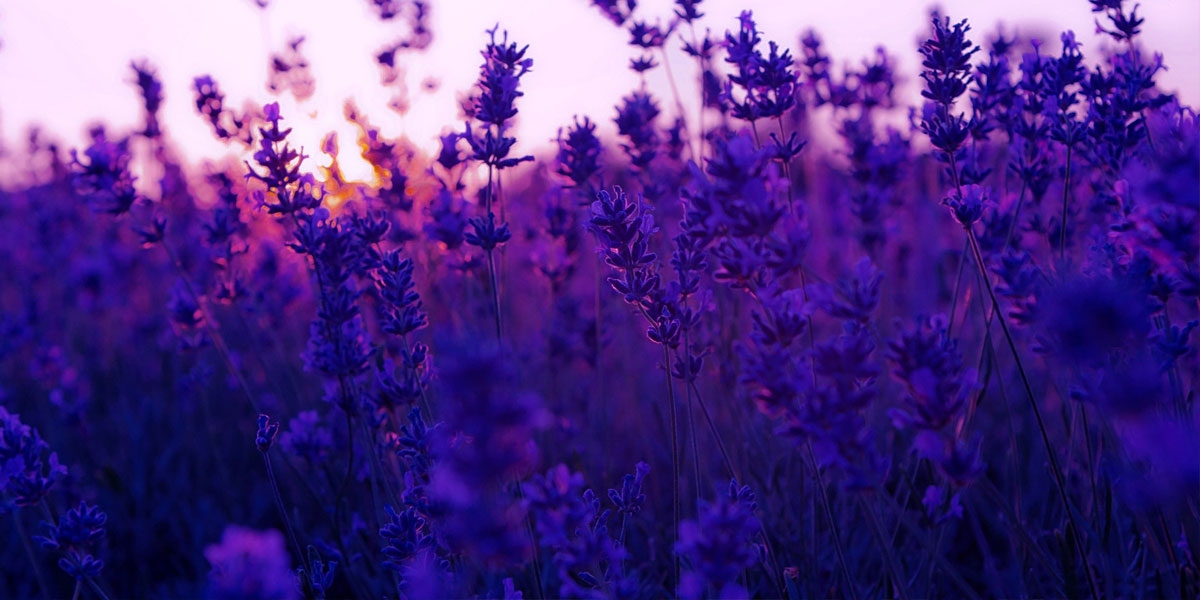 Rhode Island Digital Marketing Services